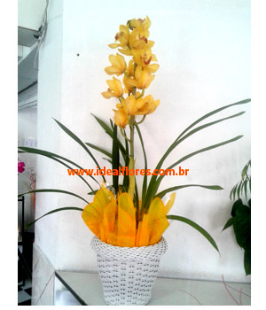Cód: 5628   Promoção  Orquídea Cymbidium (Apenas em Cachepô de vidro)